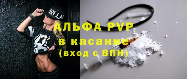 сатива Ессентукская