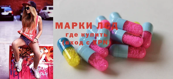 сатива Ессентукская