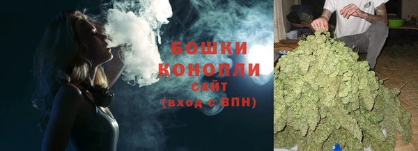 крисы Яранск