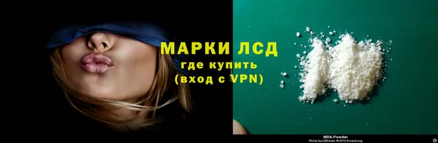 сатива Ессентукская