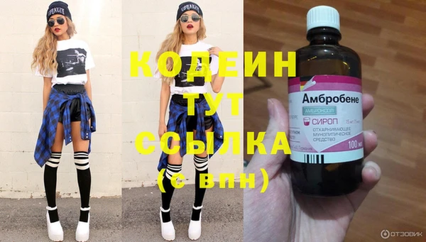 сатива Ессентукская