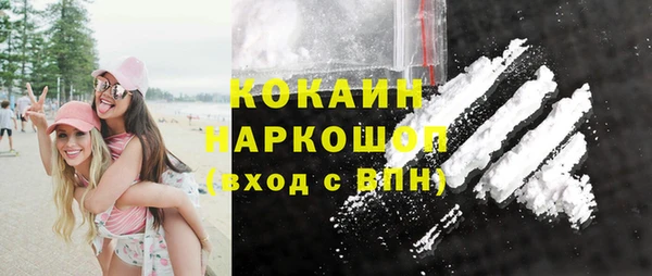 сатива Ессентукская