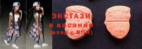 сатива Ессентукская