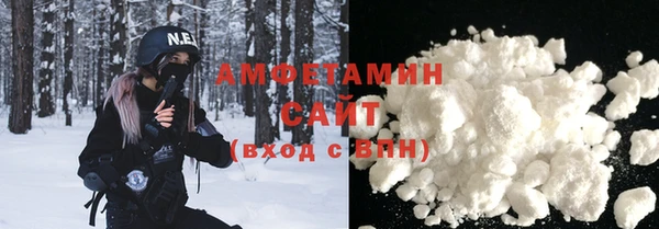 сатива Ессентукская