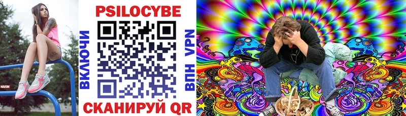 закладки  Вольск  Псилоцибиновые грибы Psilocybe 