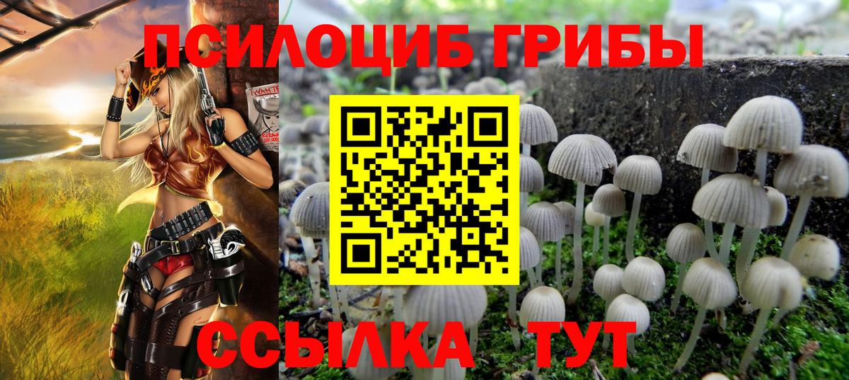 Псилоцибиновые грибы Magic Shrooms Вольск