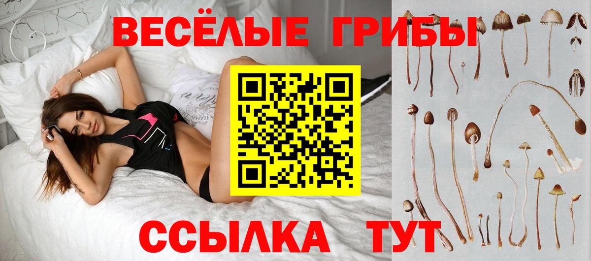 Псилоцибиновые грибы MAGIC MUSHROOMS  Вход с VPN  Вольск 